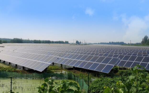 江蘇金湖兆輝50MW漁光互補光伏電站.jpg