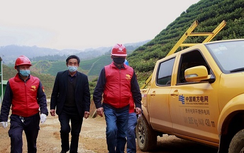 平塘供電局：“加減法”同構(gòu)服務(wù)，護航“貴州春茶第一壺”