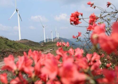 江西泰和:風力發(fā)電助力鄉(xiāng)村振興