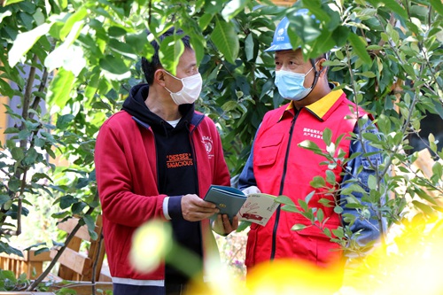 國網(wǎng)伊犁供電公司:暖心服務為當?shù)孛袼迾I(yè)“添底氣”