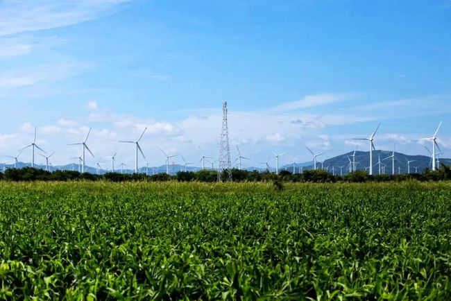 收購(gòu)墨西哥818MW光伏電站，國(guó)家電投境外光伏電站裝機(jī)超6GW