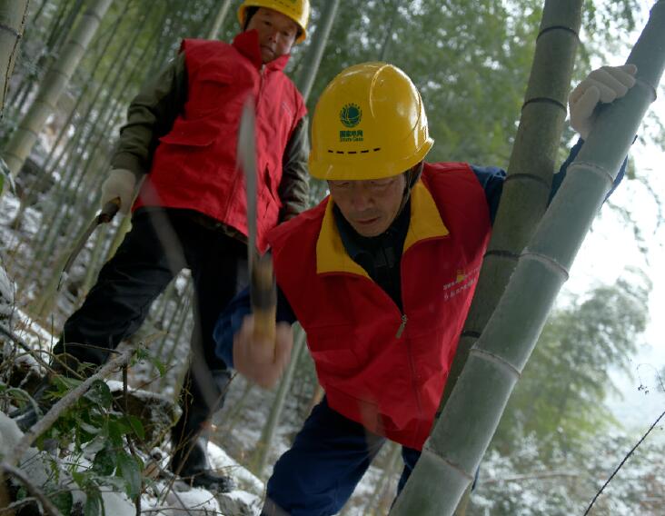國網(wǎng)余姚市供電公司:入冬雪來襲 逆行保供電