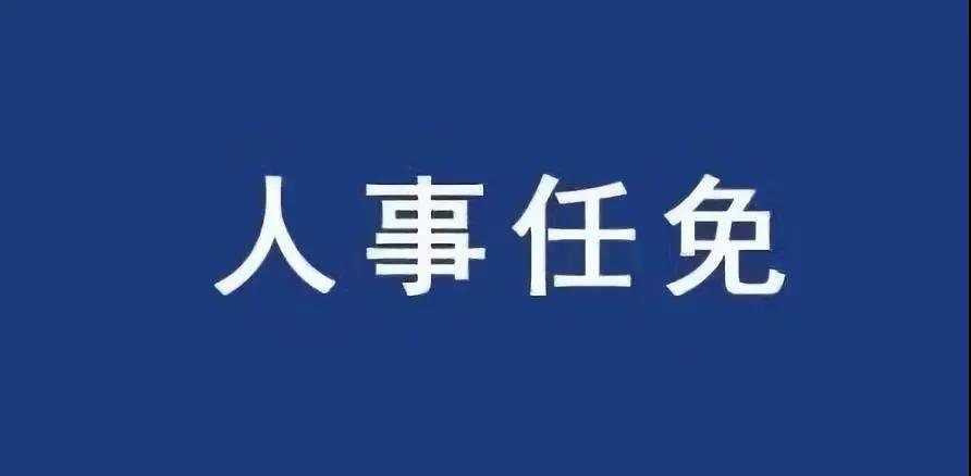 重磅！張智剛任國家電網(wǎng)總經(jīng)理、黨組副書記，韓君出任三峽集團總經(jīng)理