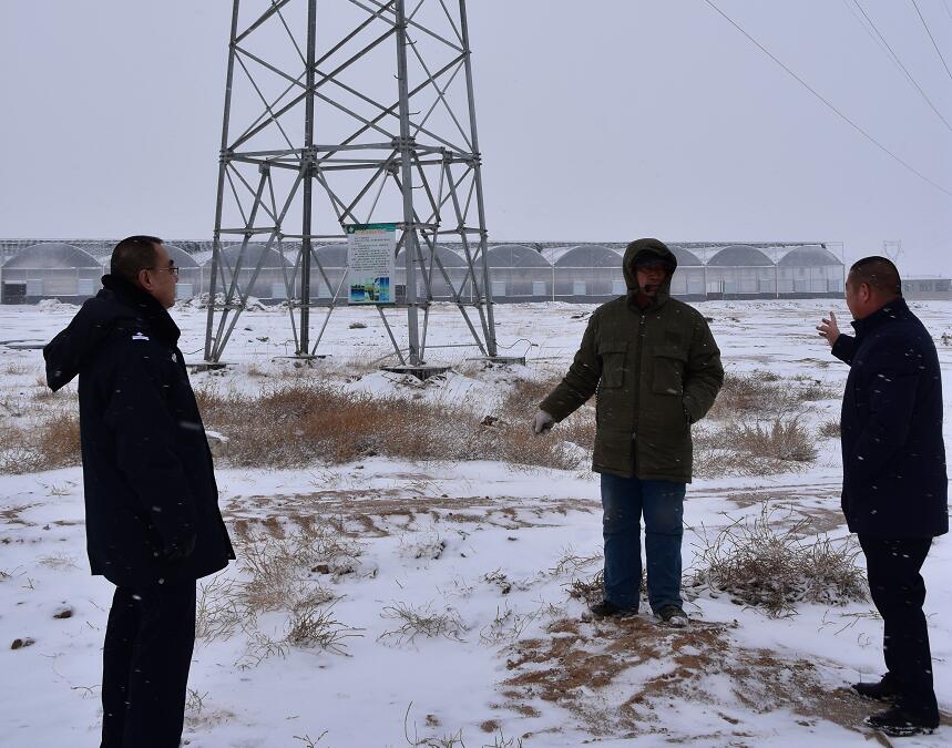 二連浩特供電公司：開展客戶側(cè)安全檢查，確?？诎犊蛻粝楹兔髁吝^春節(jié)