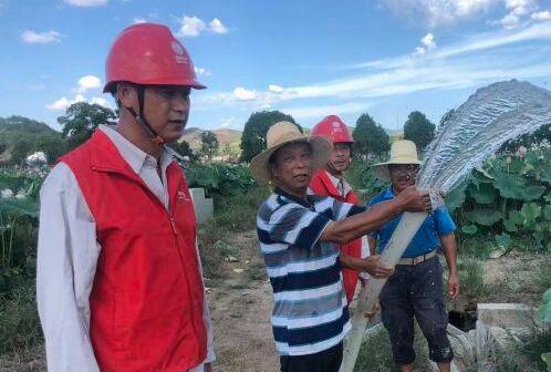 湖南茶陵:“電小二”為千畝蓮田接上灌溉電
