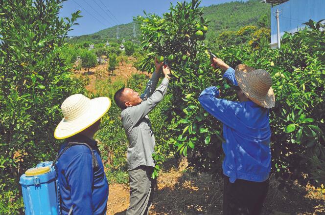 王國洲：把村事當家事，把村民當親人