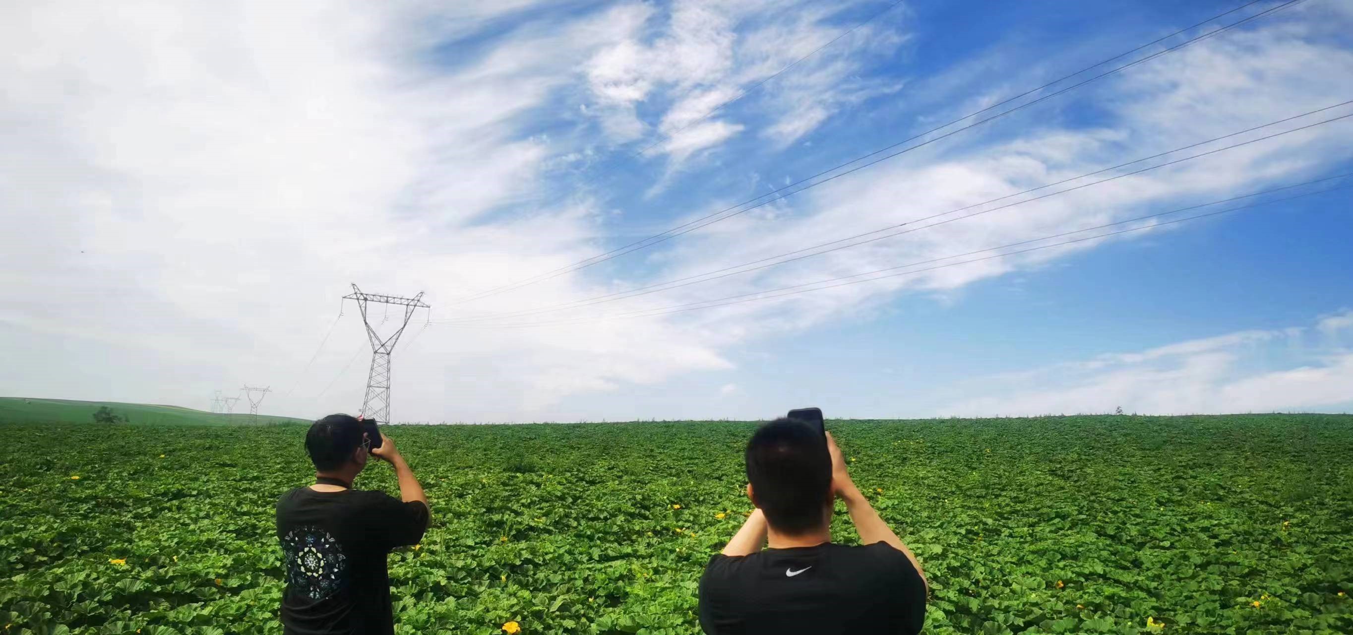 四子王輸變電管理處：防外力破壞，助安全運(yùn)行