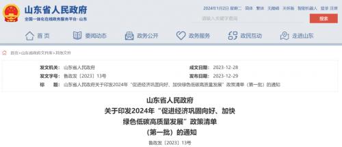 山東: 海上光伏2025年底前并網,免于配儲、有初投資補貼!
